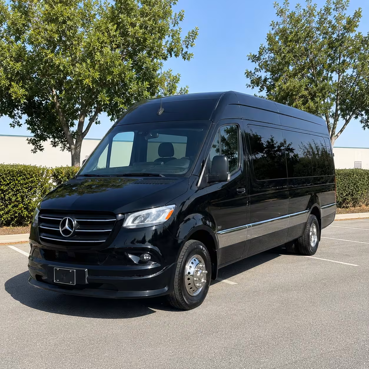 sprinter van rental with driver